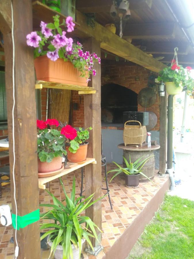 Ribarska Vila Donje Lohovo Kültér fotó